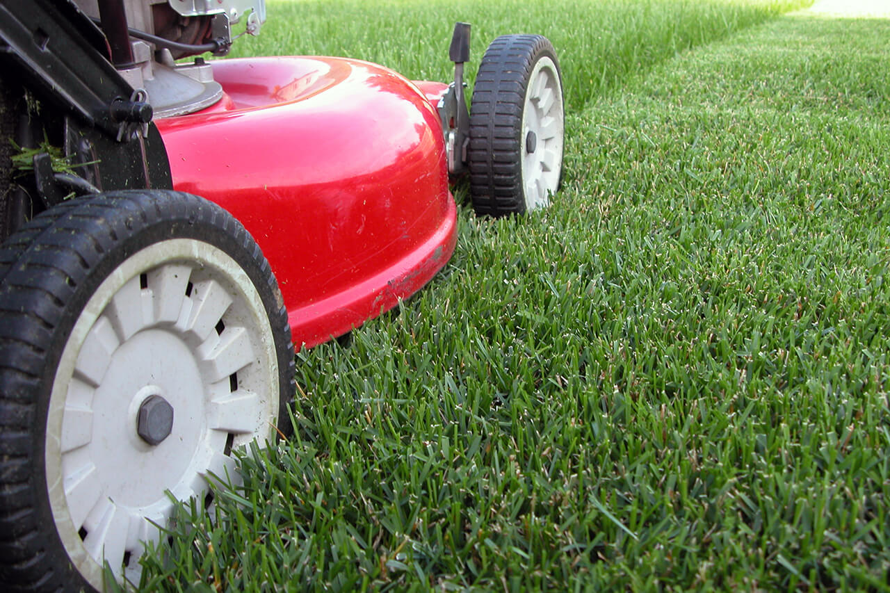 external-Repair-GRASS CUTTING-repair-others-pike-picture